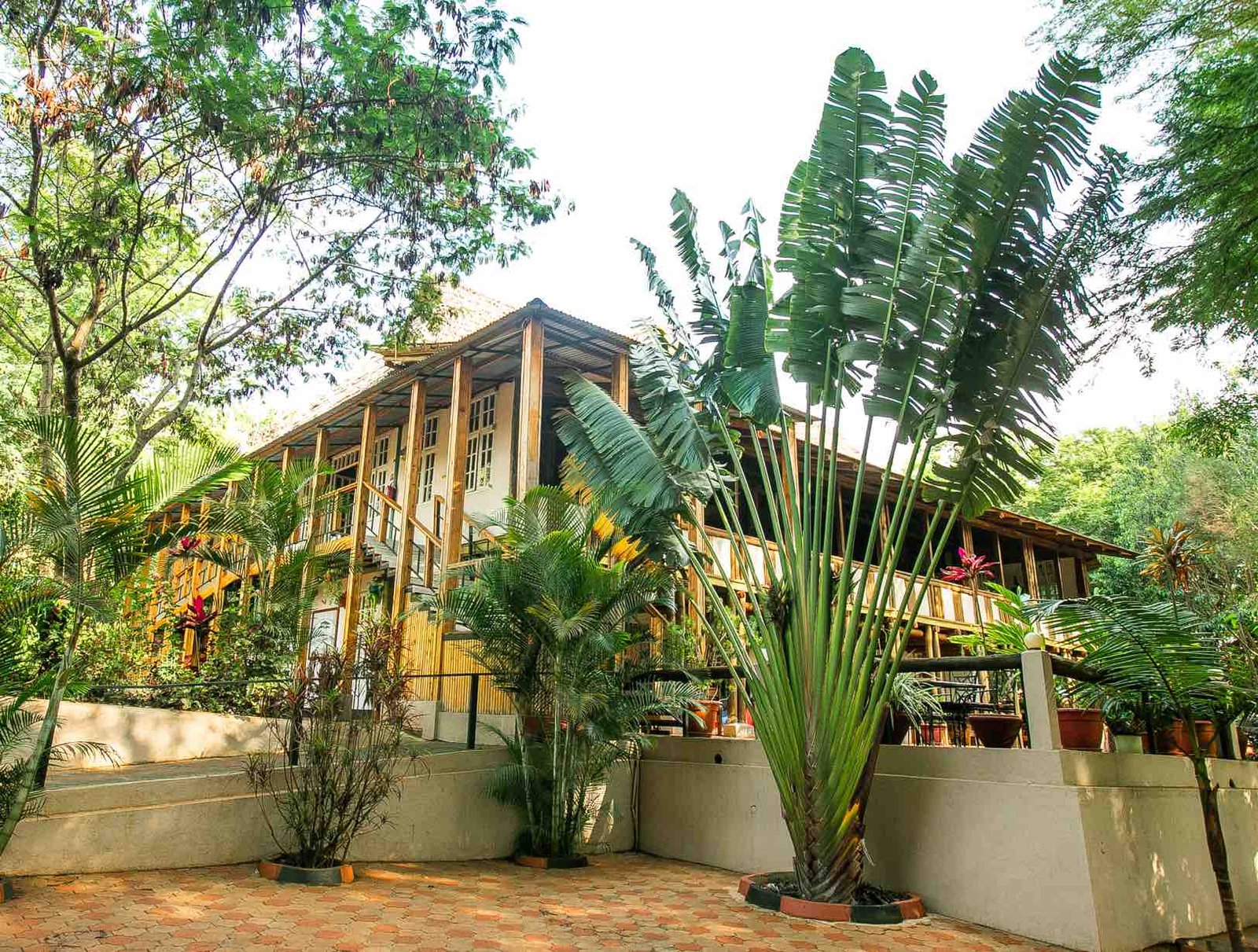 Eileen’s Trees Inn Karatu - Gallery Image 1