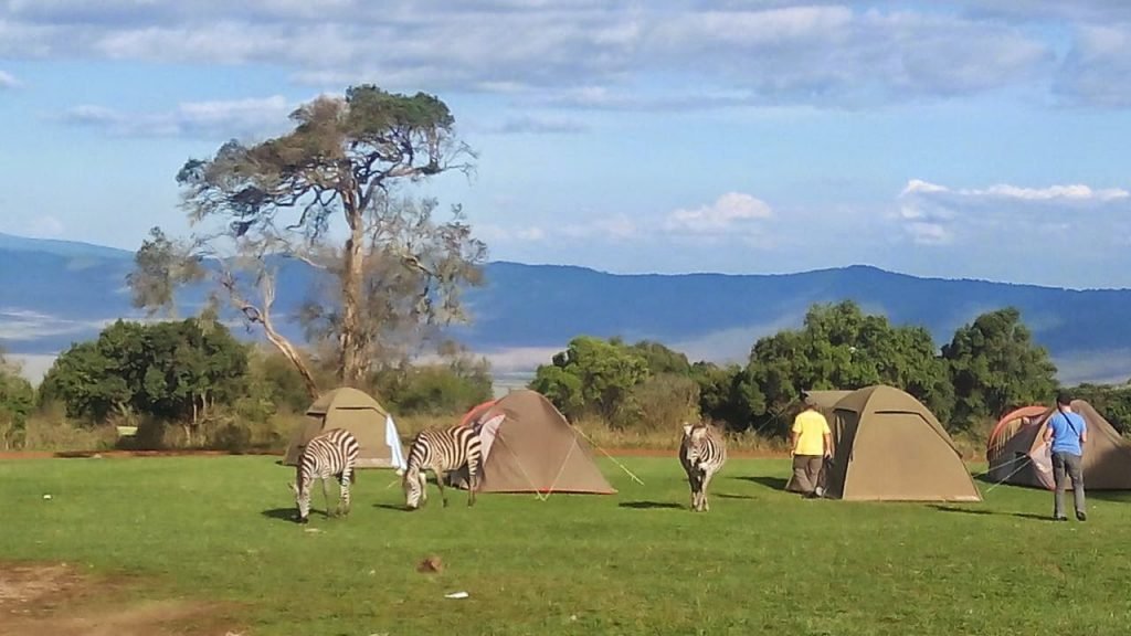 Simba B Public Campsite  - Gallery Image 3