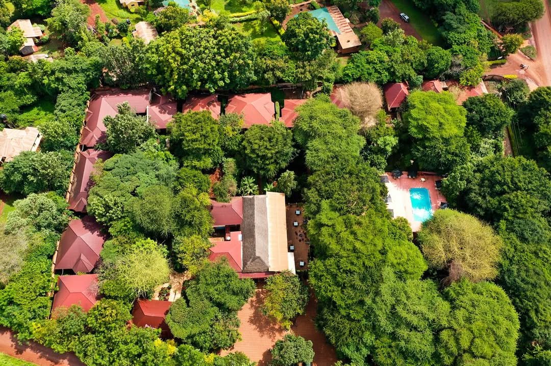 Eileen's Trees Inn - Gallery Image 3