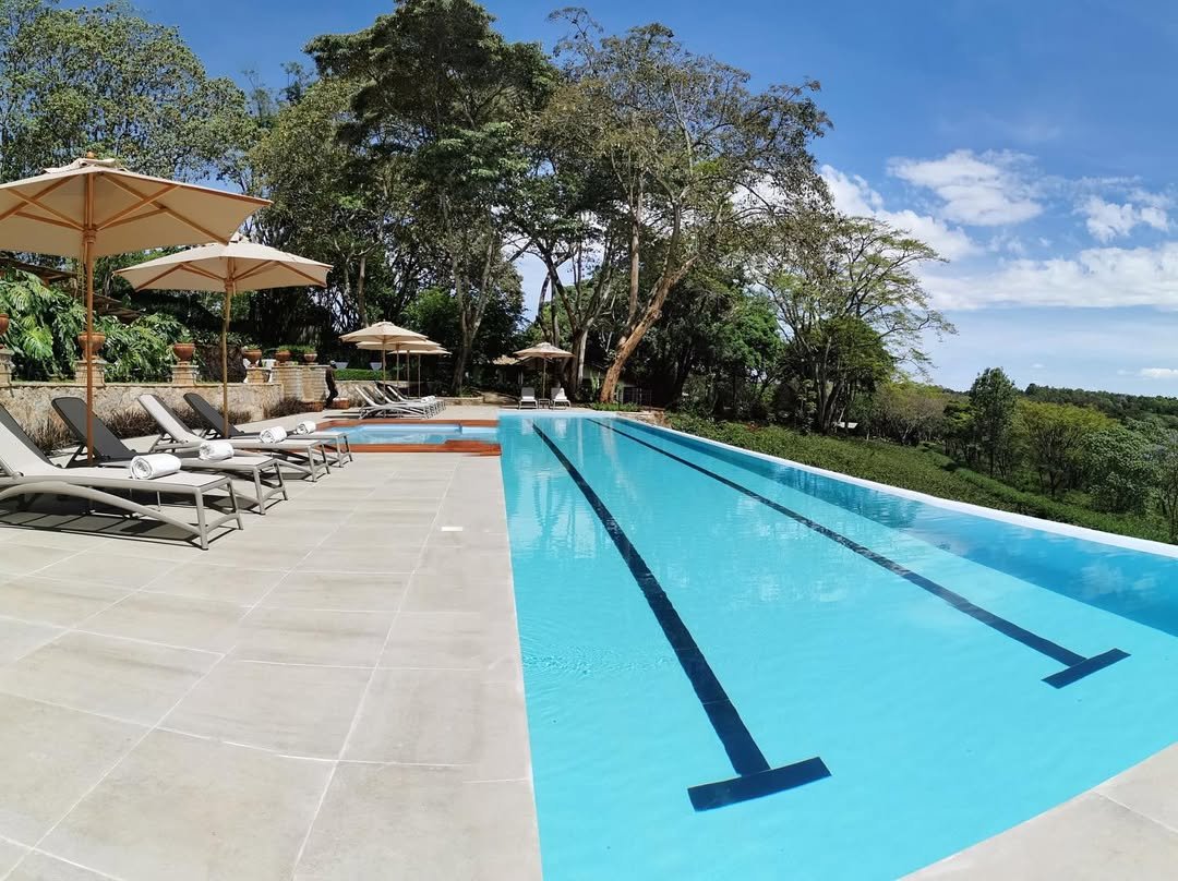 Gibb's Farm - Gallery Image 3