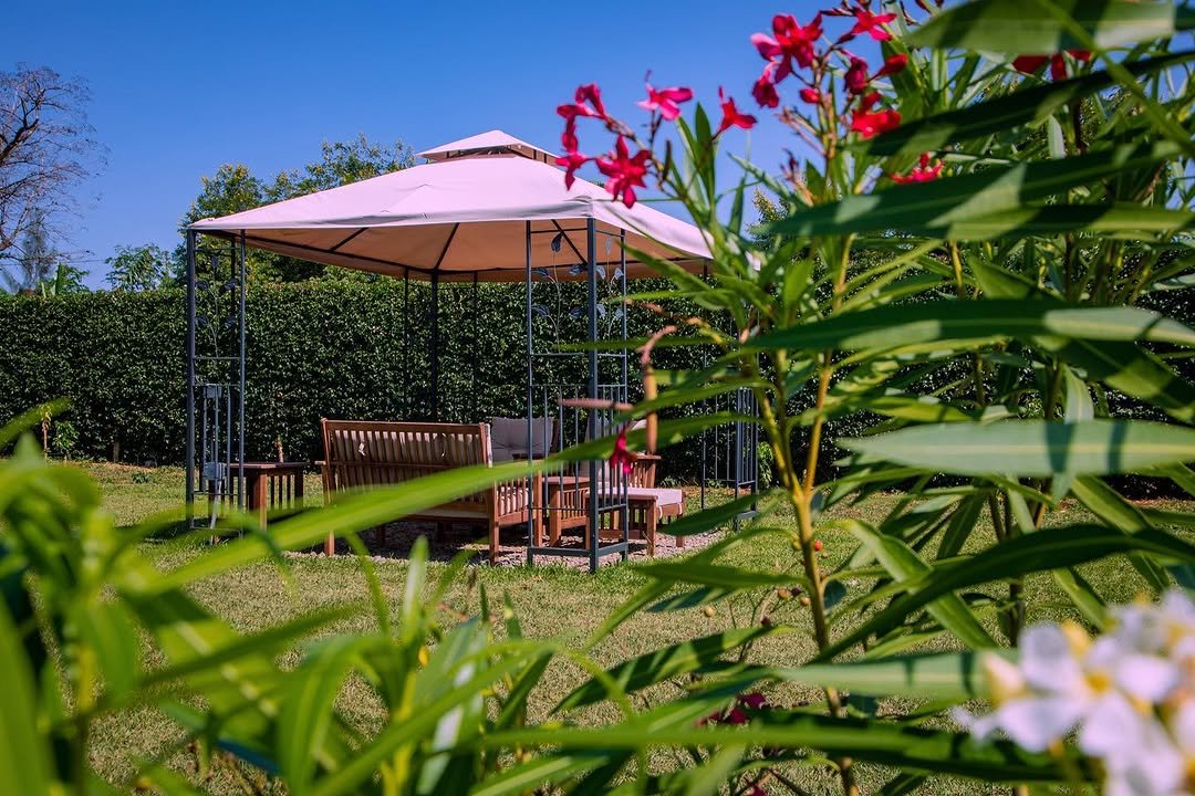 Kilimanjaro mountain camp (tented) - Gallery Image 2