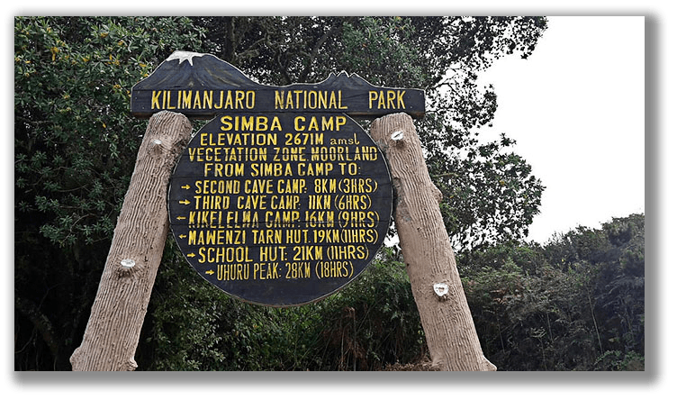 Simba Camp - Gallery Image 1