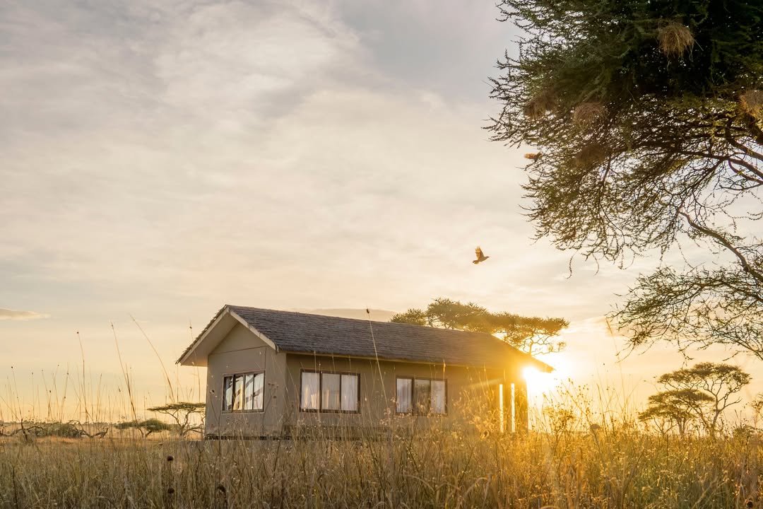 Sametu Camp Serengeti - Gallery Image 3