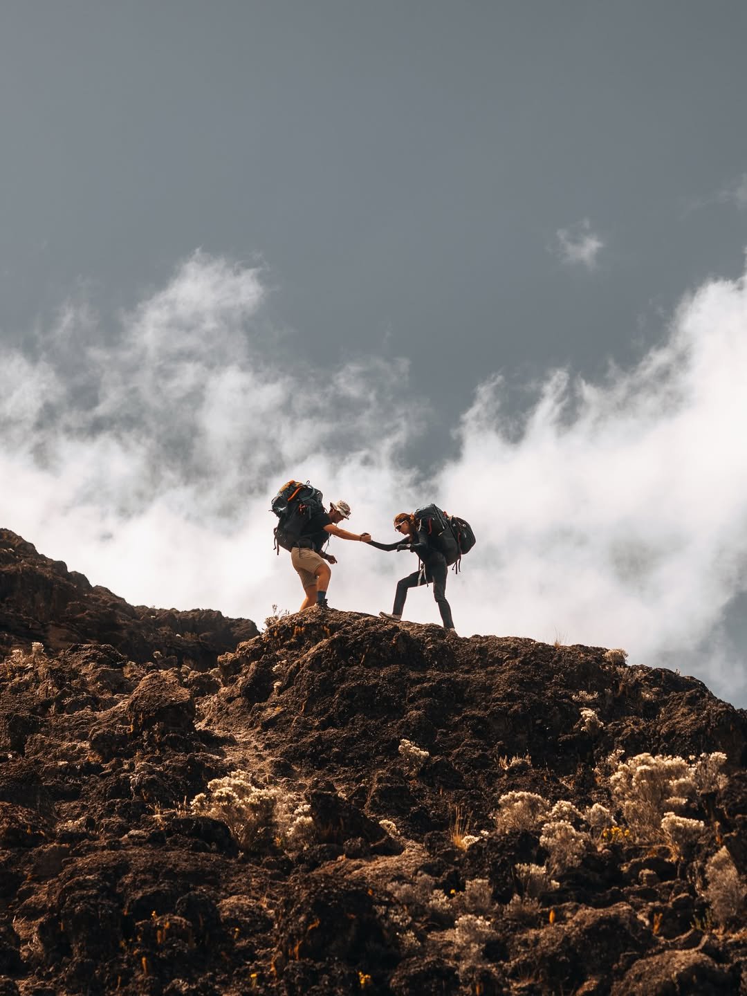 Kilimanjaro Pricing Guide: Unveiling Tanzanias Safari to Africas Highest Peak