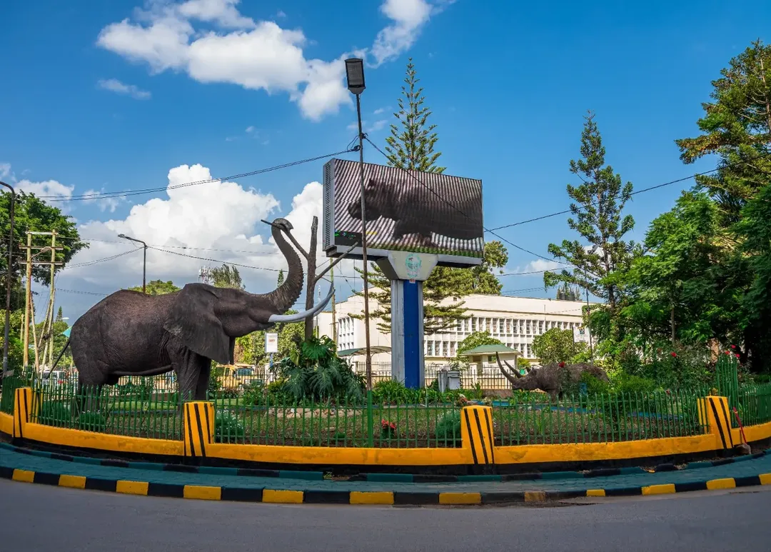Arusha Town