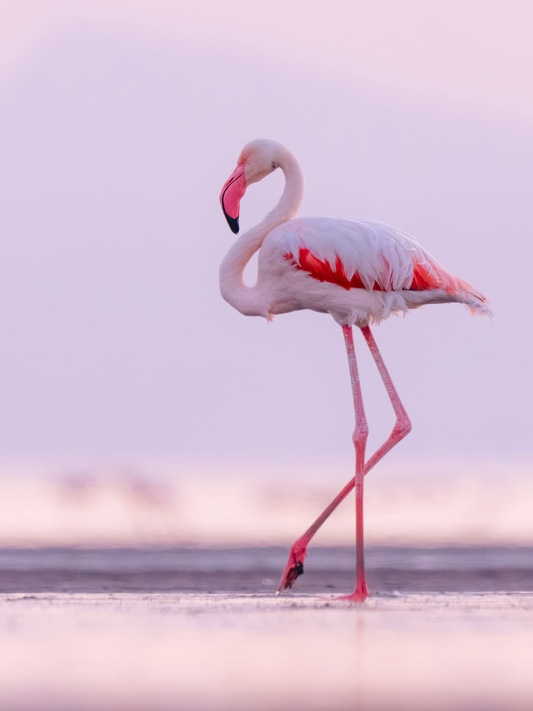 Lake Natron