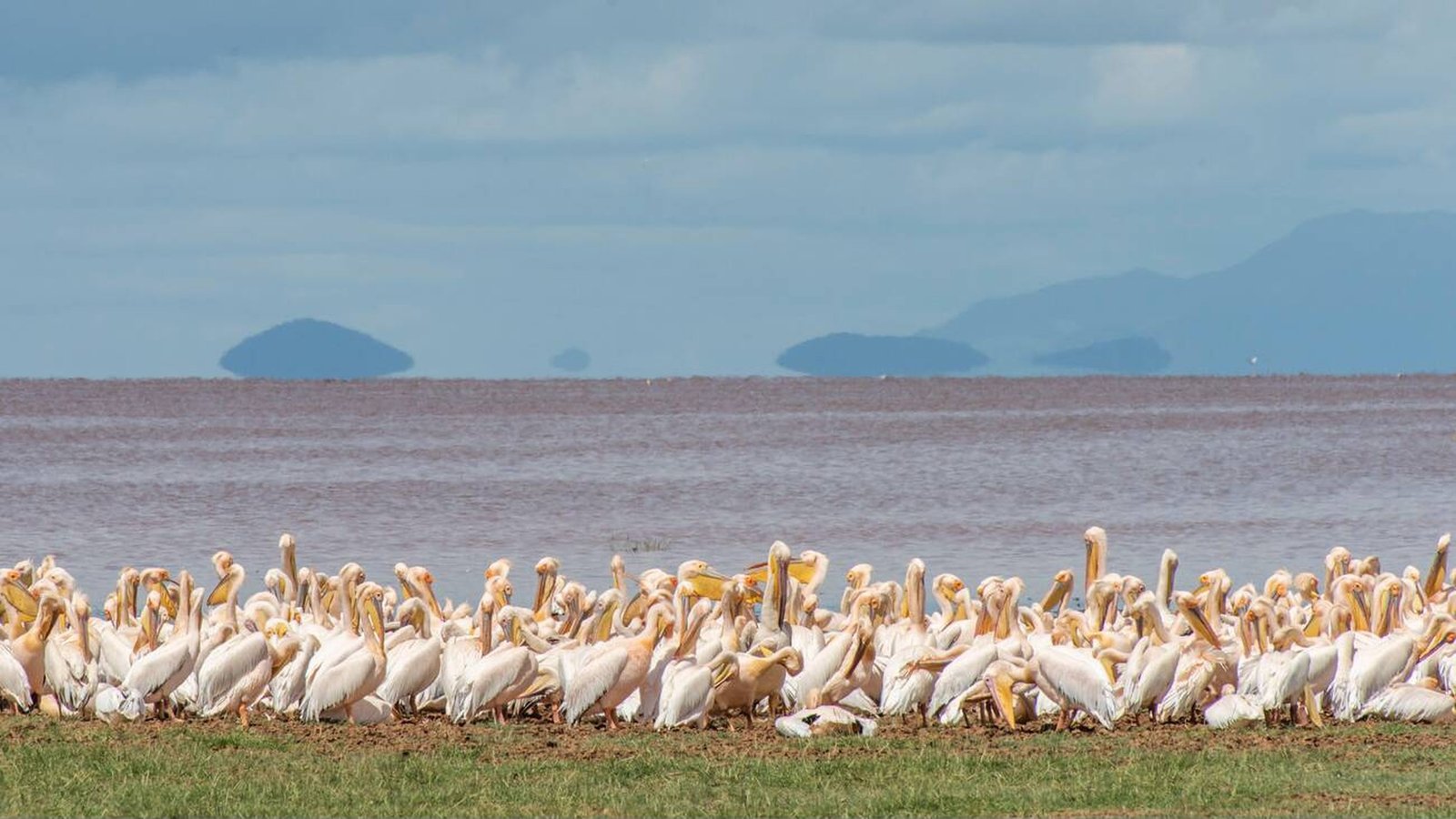 Lake Manyara National Park