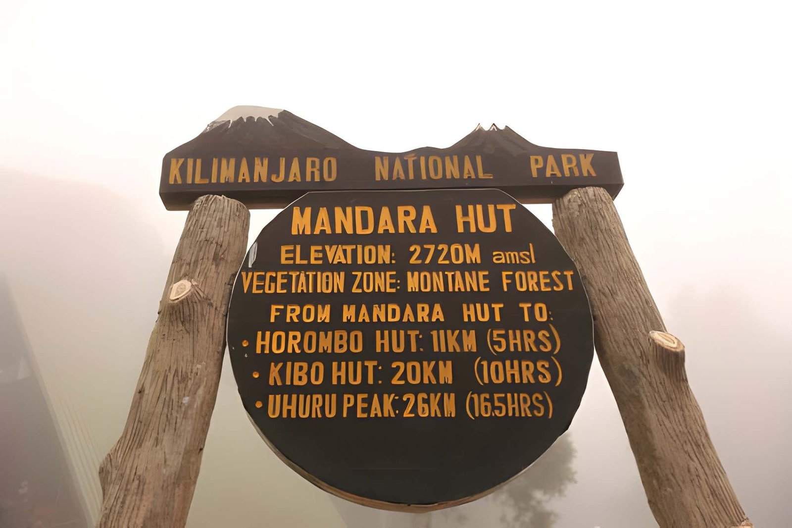 Climbing Kilimanjaro via Marangu Route - Image 2