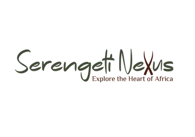 logo icon