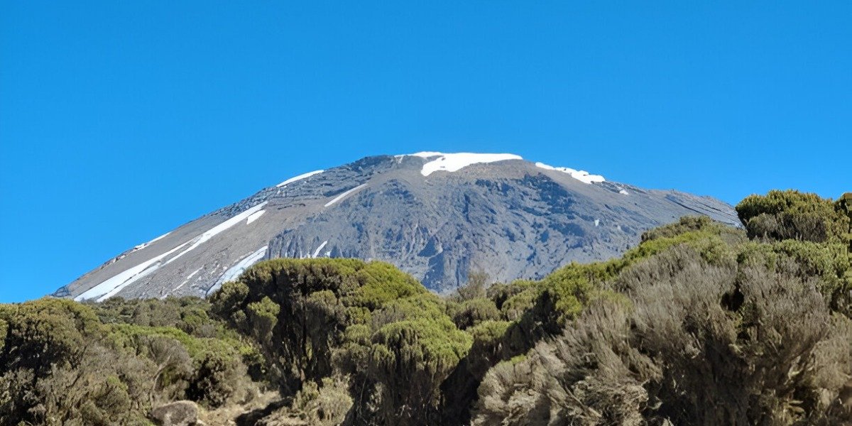 Millenium Camp - Gallery Image 1