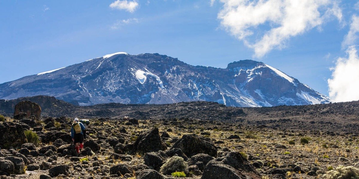 Moir Huts - Gallery Image 1