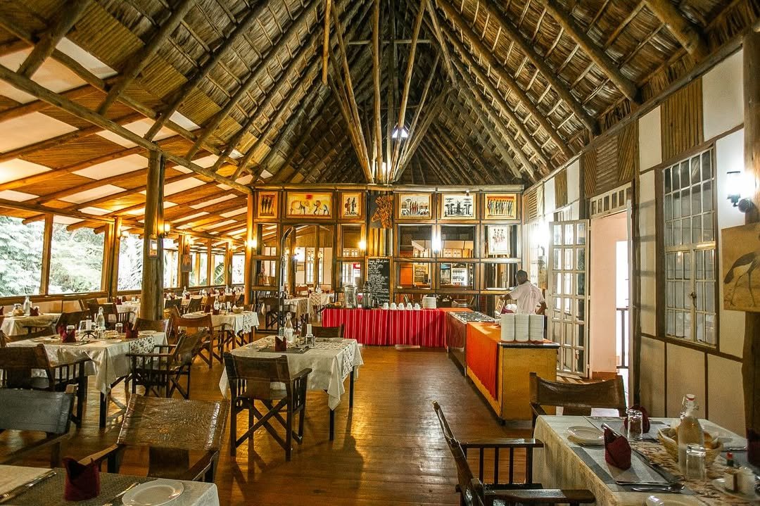 Eileen's Trees Inn - Gallery Image 2