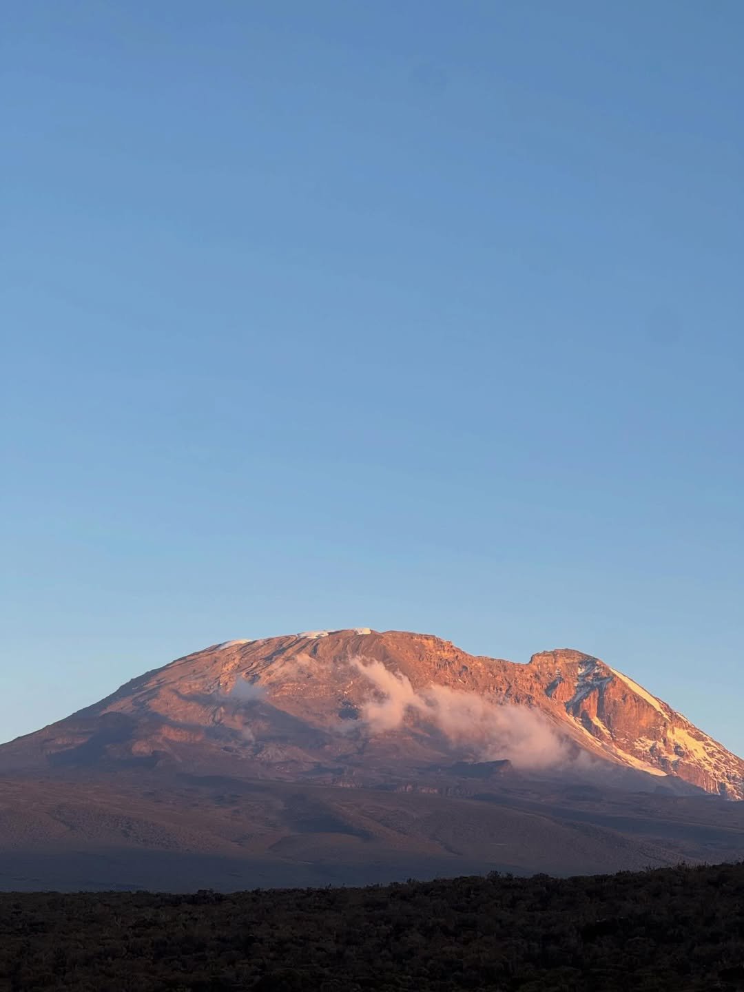 Ultimate Tanzania Safari: Expert Guide for Successful Kilimanjaro Climbing