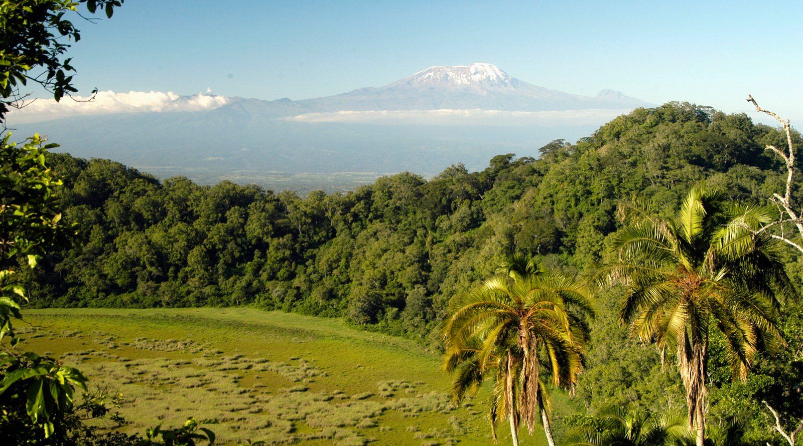 Ngurdoto and Meru Craters