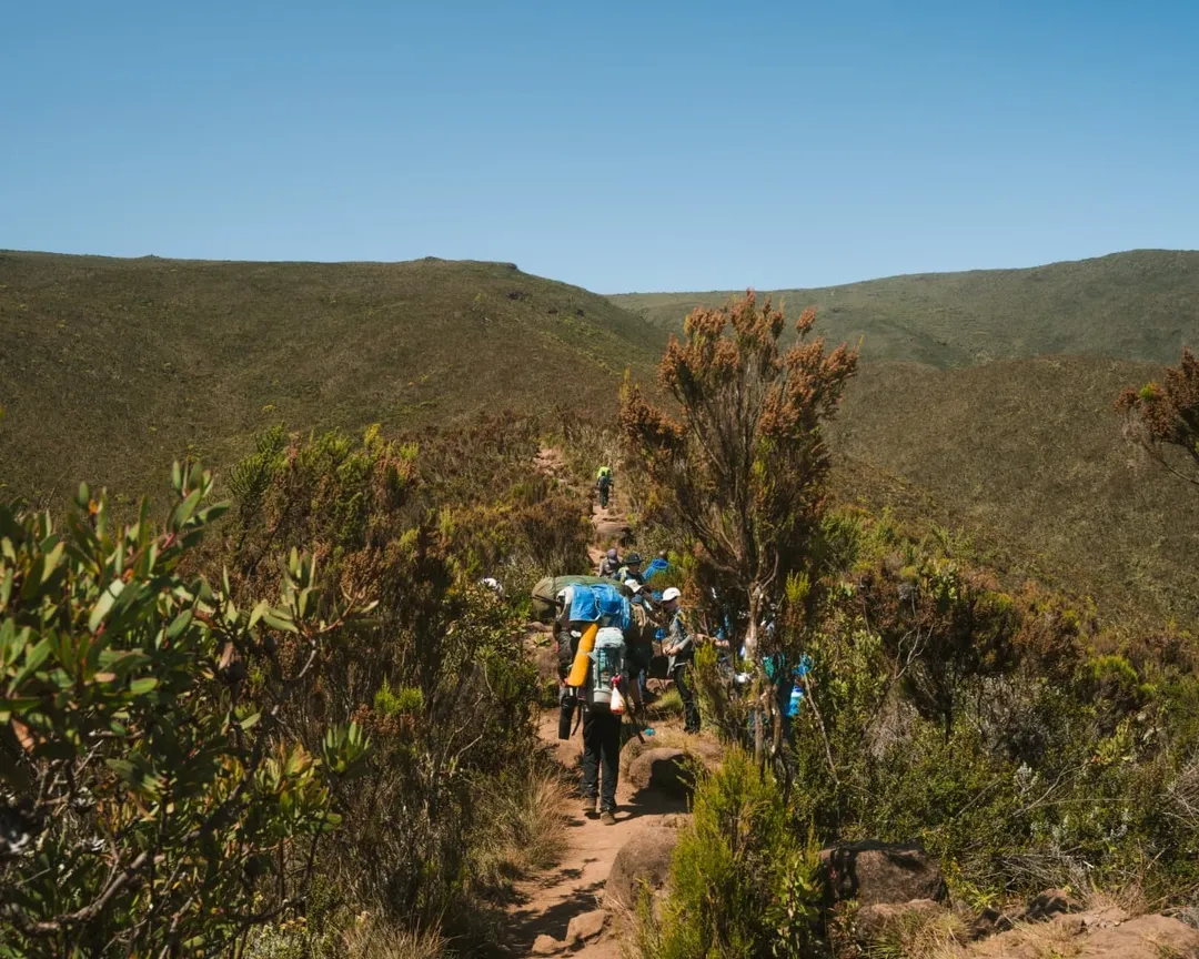 Kilimanjaro National Park