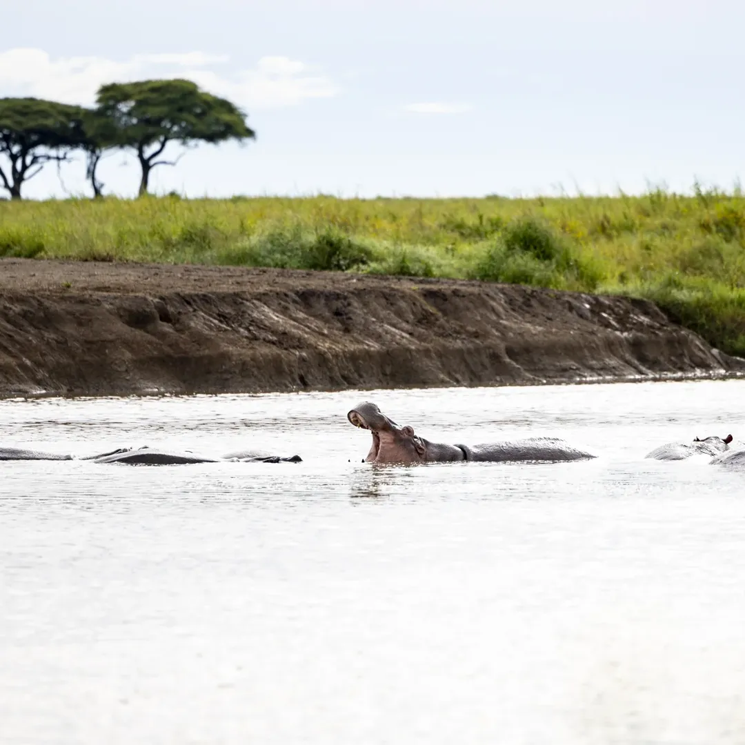Serengeti National Park