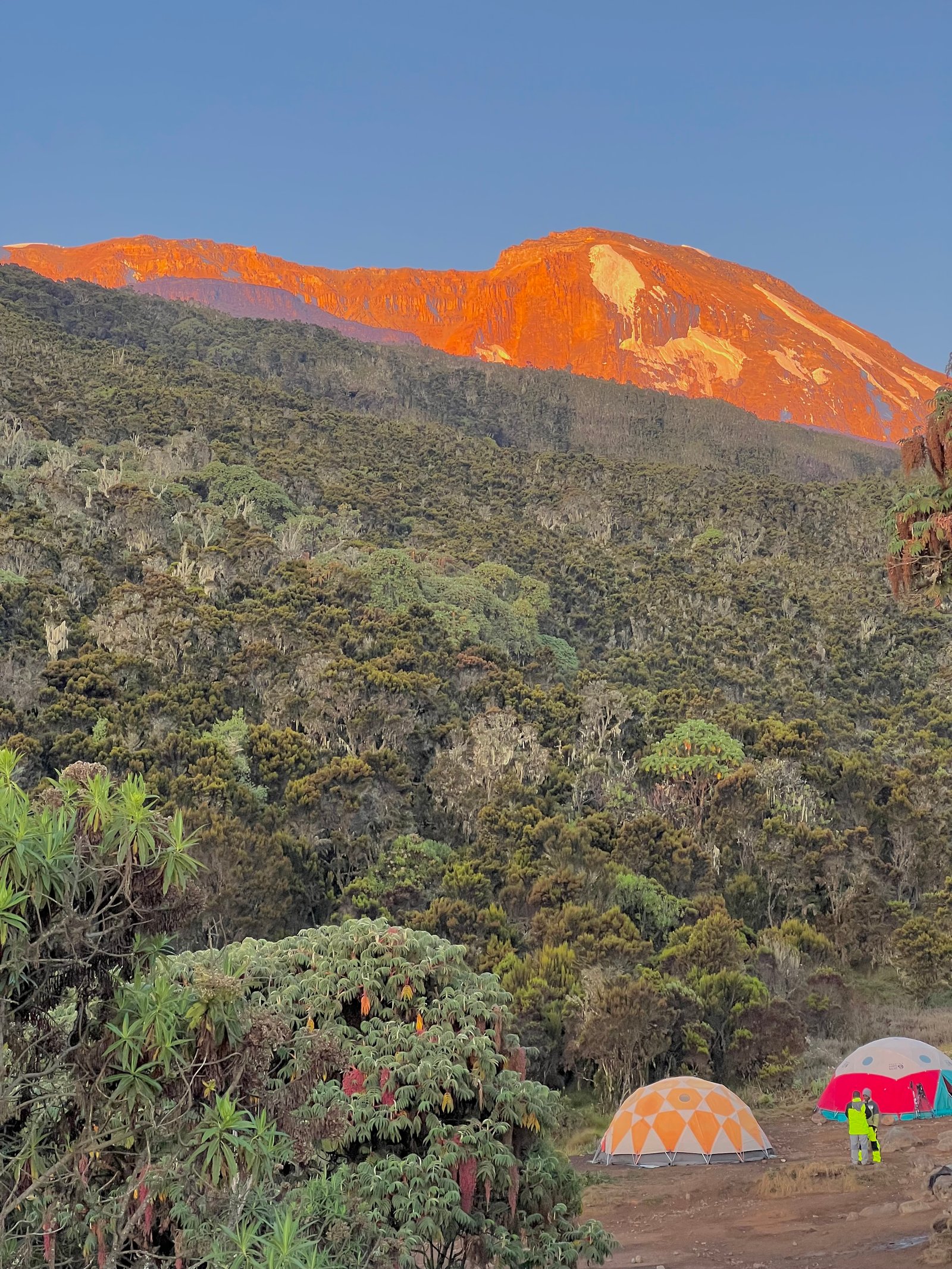 Machame Route - Image 3