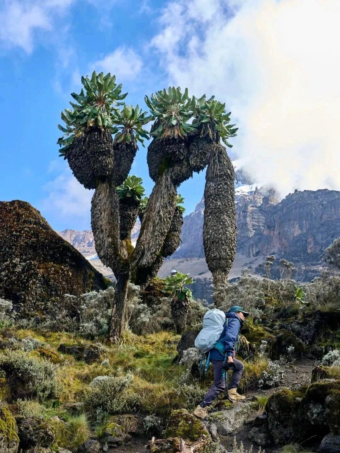 Umbwe Route - Image 2