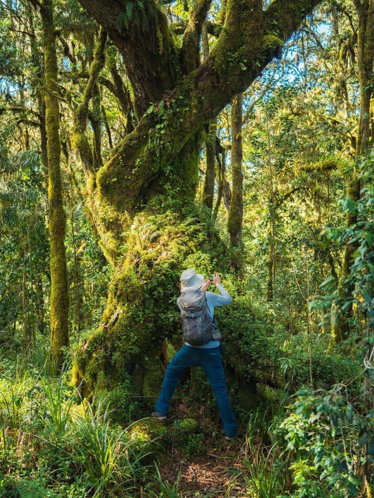 Umbwe Route - Image 3