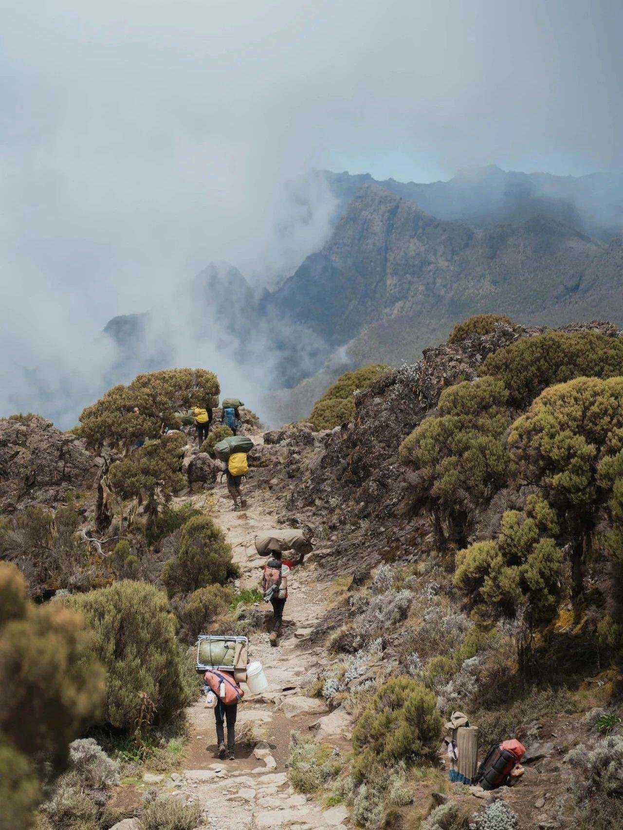 Umbwe Route - Image 4