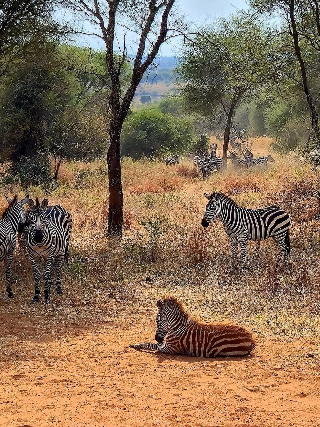 Active Explorer Safari – Canoeing in Arusha, Trekking in Ngorongoro & Serengeti Safari - Image 2