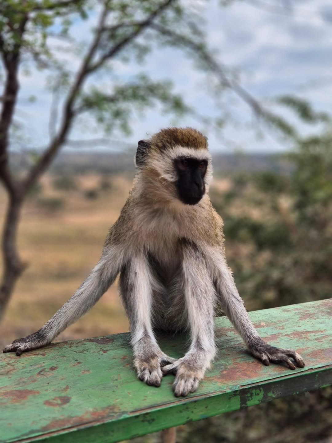 Active Explorer Safari – Canoeing in Arusha, Trekking in Ngorongoro & Serengeti Safari - Image 4
