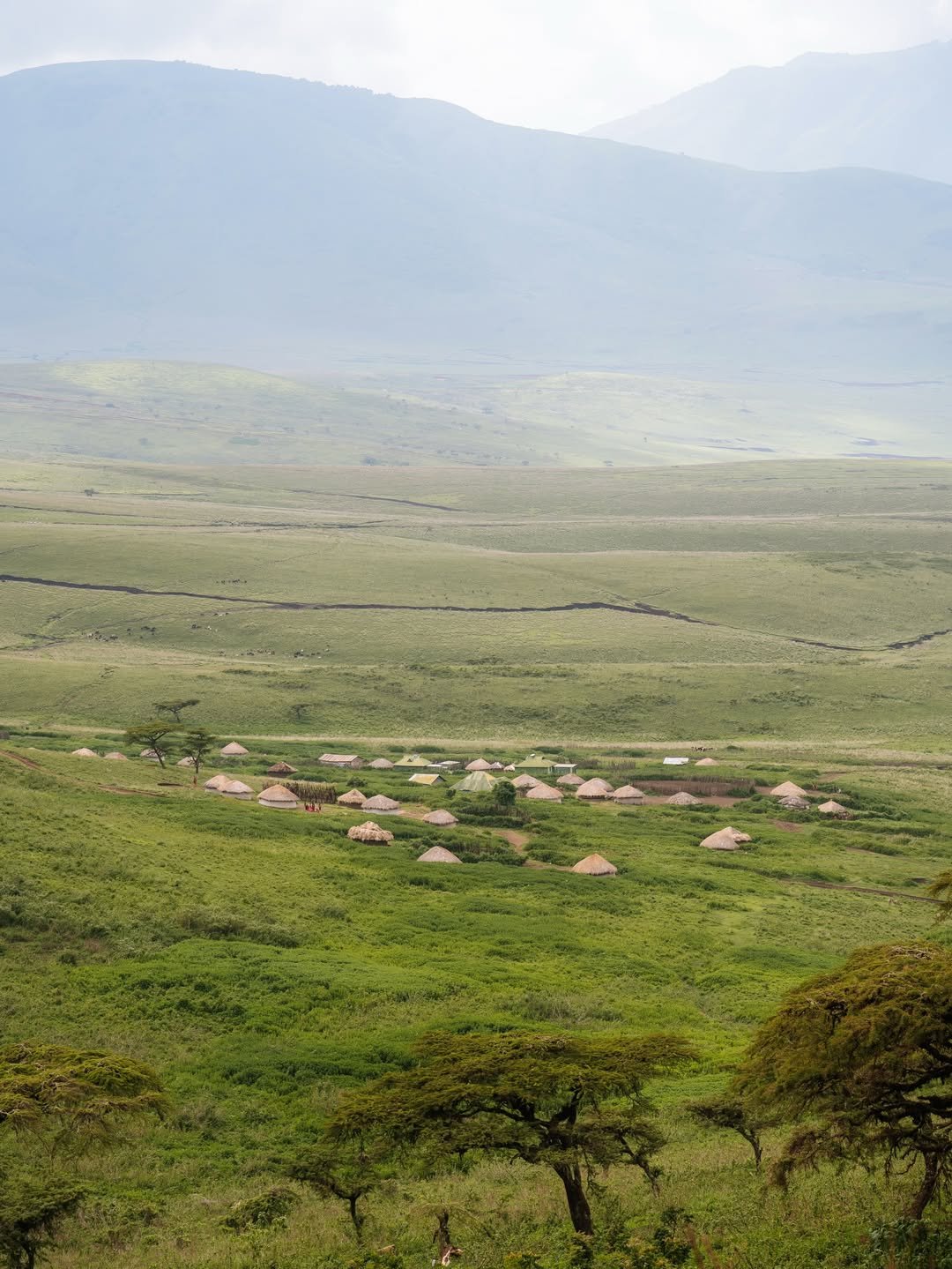 Budget-Friendly Tour in Tarangire, Ngorongoro & Serengeti - Image 4