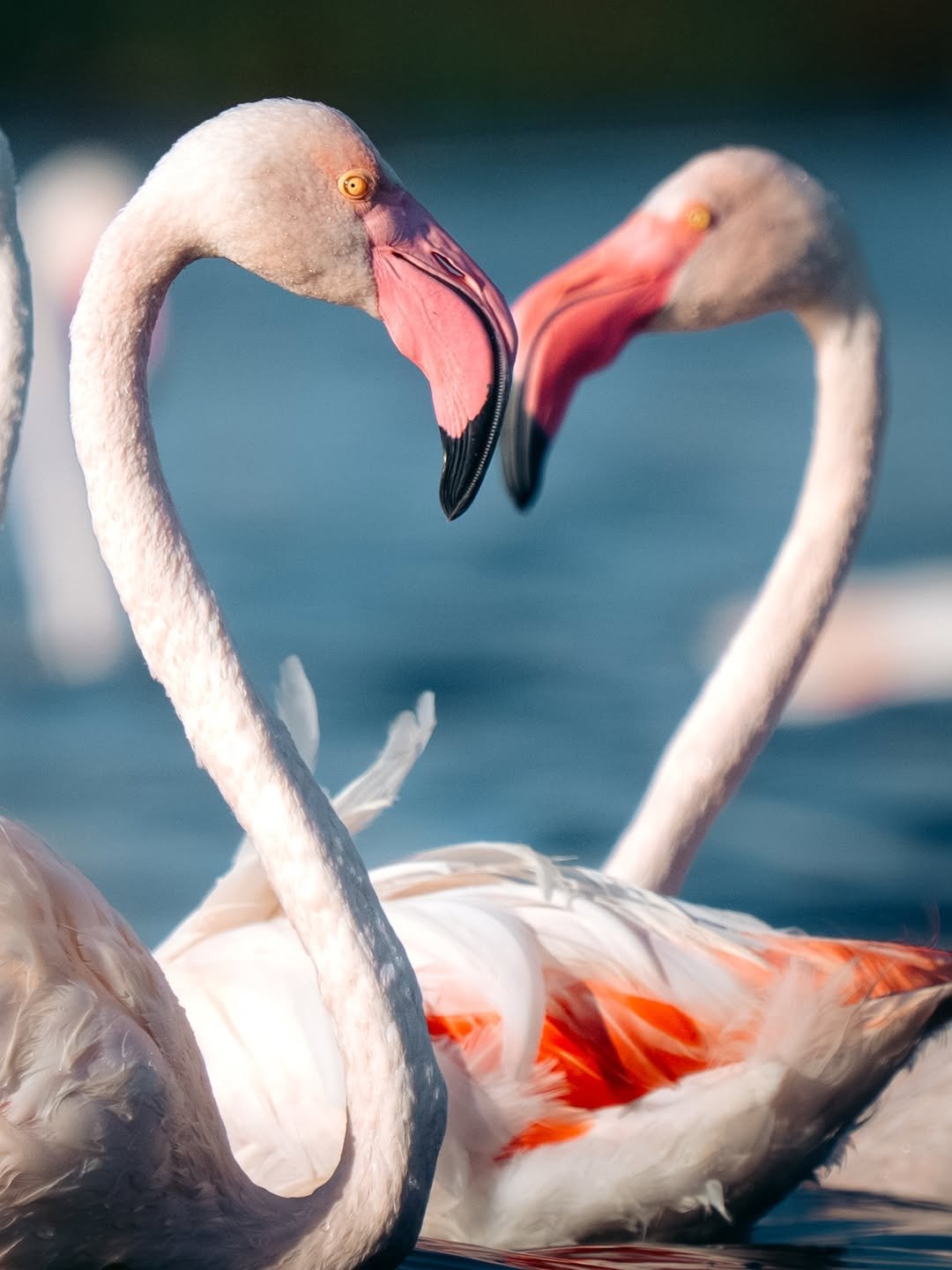 Luxury Safari: Ngorongoro, Lake Natron & Serengeti Migration in 7 Days - Image 2