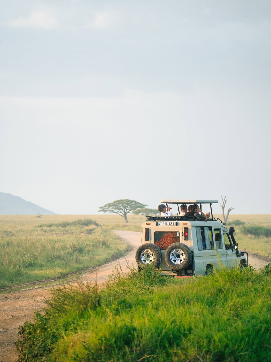 Tarangire, Ngorongoro & Calving Season in Ndutu