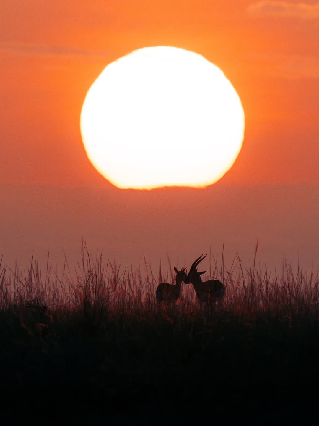 Ngorongoro 2-Day Trip: Sunrise on the Rim