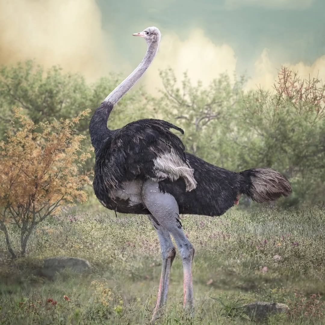 Safari Tour 'Grants': 7-Day Tarangire, Lake Natron & Ngorongoro Crater - Image 4