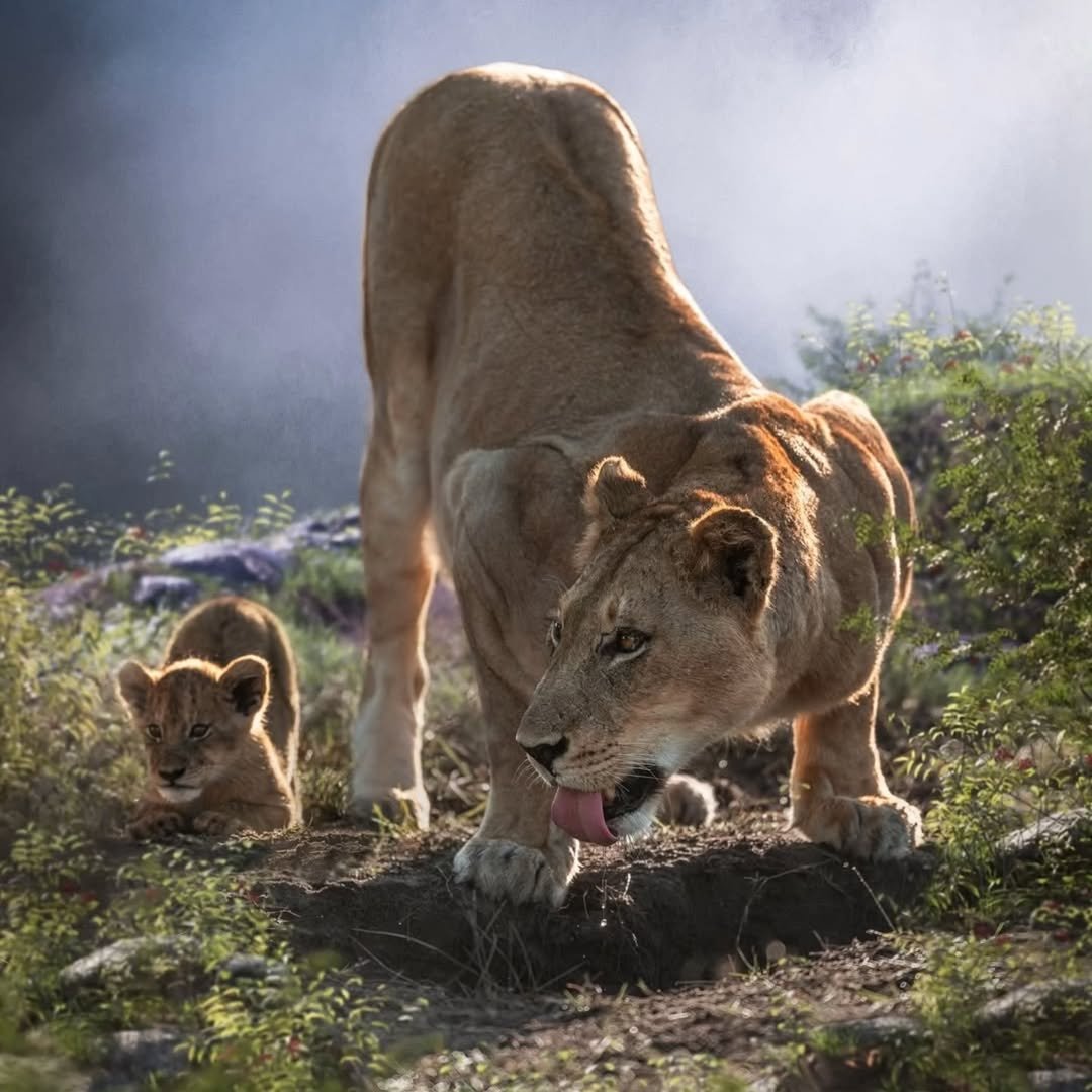 Safari Tour 'Kudu': 6-Day Ndutu, Serengeti & Ngorongoro - Image 2