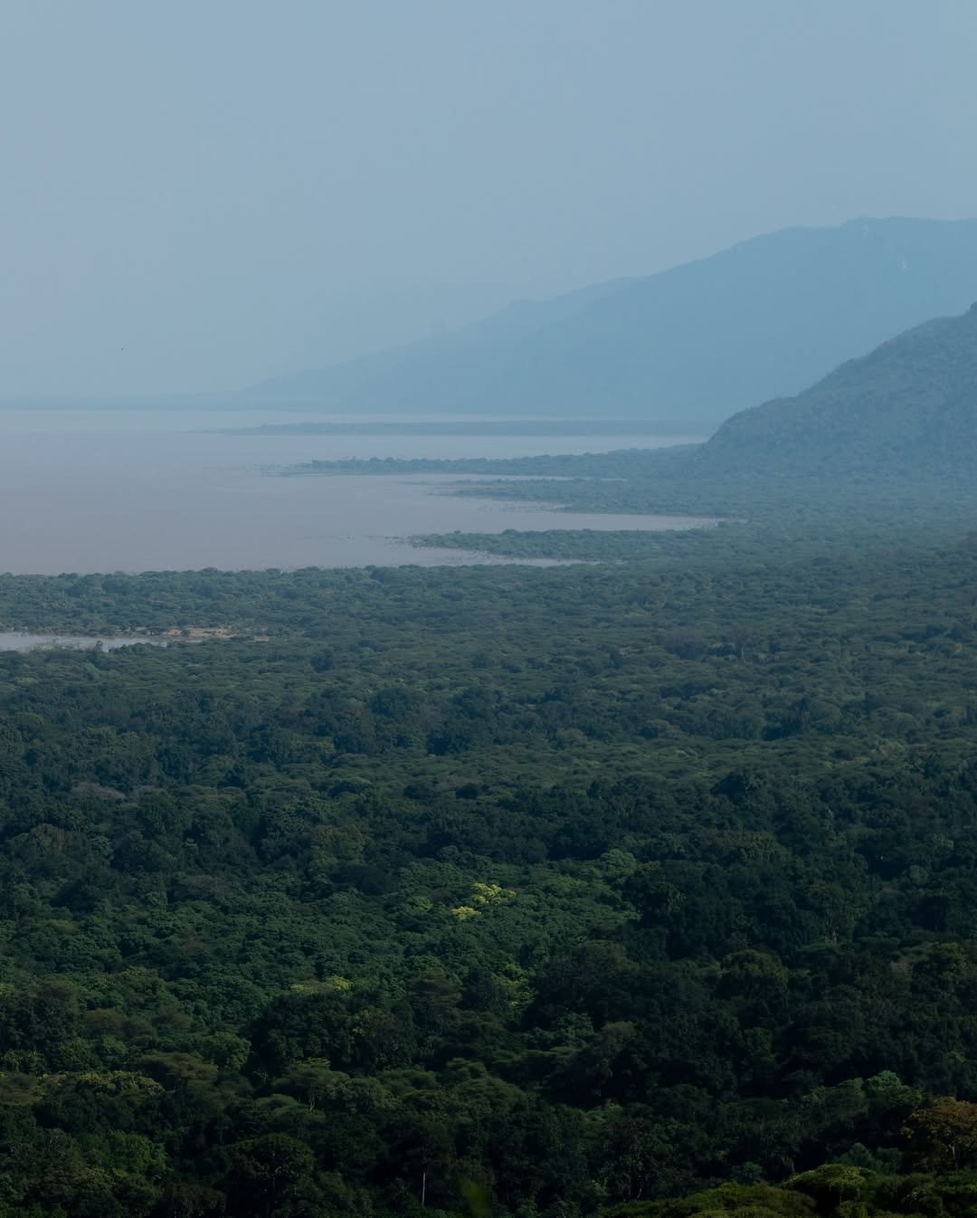 Safari Tour 'Klipspringer': 2-Day Lake Manyara & Ngorongoro Crater - Image 4